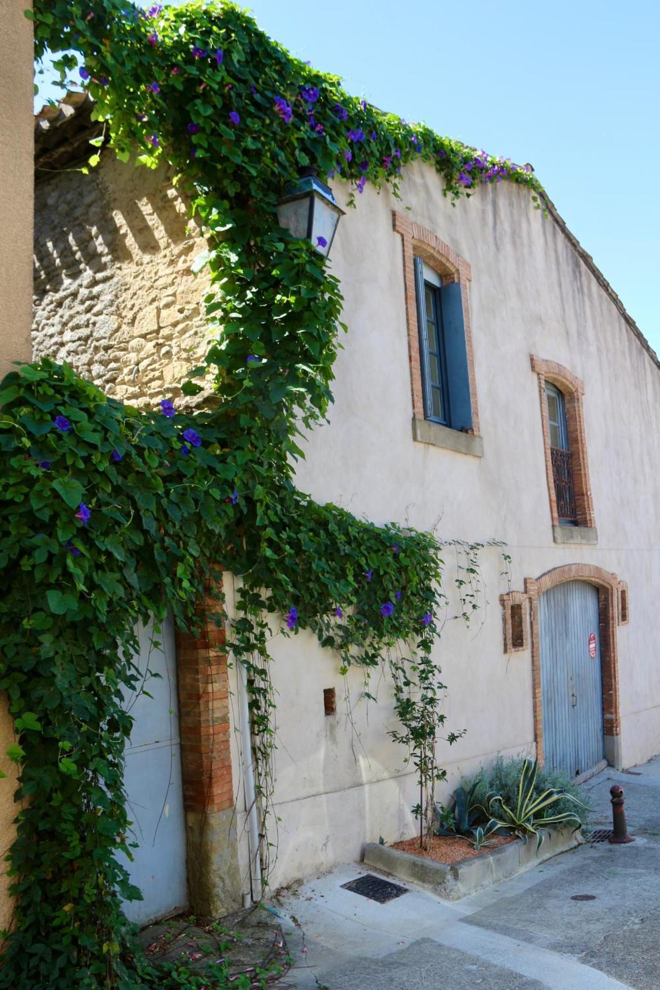La Cite Secrete Villa Carcassonne Bagian luar foto